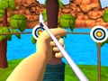 Master Archery Shooting 