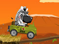 Safari Time