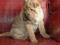 Jigsaw Puzzles Classic 