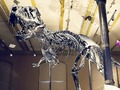 A day at the museum 