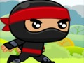 Ninja 