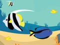 Fishy Differences 