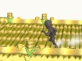 Ninja Runs 3d 