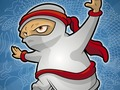 Life and death ninja 