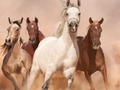 Horses Puzzle 