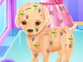Baby Elsa Puppy Surgery 