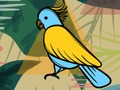 Exotic Birds Coloring 