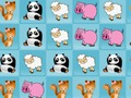 Animals Collection 