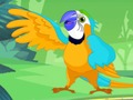 Parrot Pal Coloring 