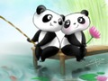 Pandas Slide 