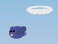Basket Bird 