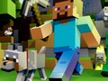 Minecraft Hidden Stars 