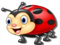 Ladybug Coloring Book 