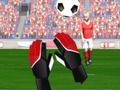 Expert Goalkeeper 