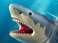 Shark Hunting 