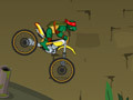 Ninja Turtle Bike