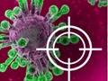 Destroy The Virus 