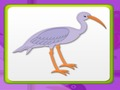 Kids Memory With Birds 