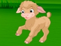 Lambs Jigsaw 