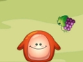 Chaki Food Drop 