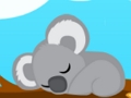Koala Bear 