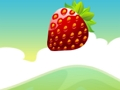Fruit Cutter 