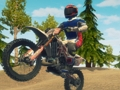 Dirt Bike Enduro Racing 