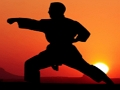 Karate Sunset Warriors 