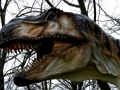 T-Rex Dinosaur Jigsaw 