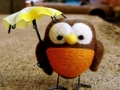 Cute Owl Puzzle 