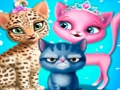 Cat Hair Salon 