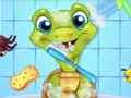 Pet Wash 