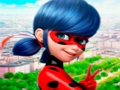 LadyBug Jigsaw Puzzle Collection 
