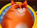 Kitty Scramble 