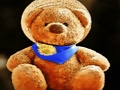 Plush Teddy Bear 