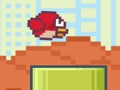 Chubby birds 