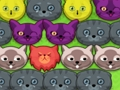 Pop-pop kitties 