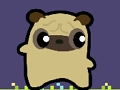 Pug love 