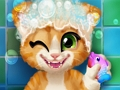 Rusty Kitten Bath 