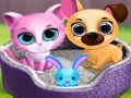 Cute Pet Friends 