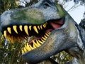King of the Dinosaurs Puzzle 