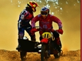 Speedway Sidecar Jigsaw 