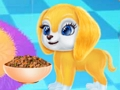 Baby Taylor Puppy Care 