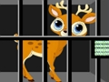 Animals Rescue 