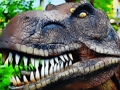 Tyrannosaurus Rex Carnivore Jigsaw 
