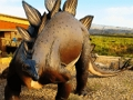 Stegosaurus Dinosaur Jigsaw 