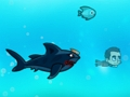 Angry Shark Miami 