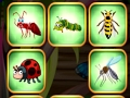 Insects Bumping Match 