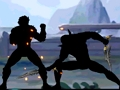 Shadow Fight Combat 