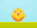 Jump The Birds 